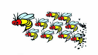 Kerala: 13 injured in bee attack, three serious