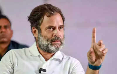 ‘Massive undercurrent’, 2024 win tough for BJP: Congress leader Rahul Gandhi