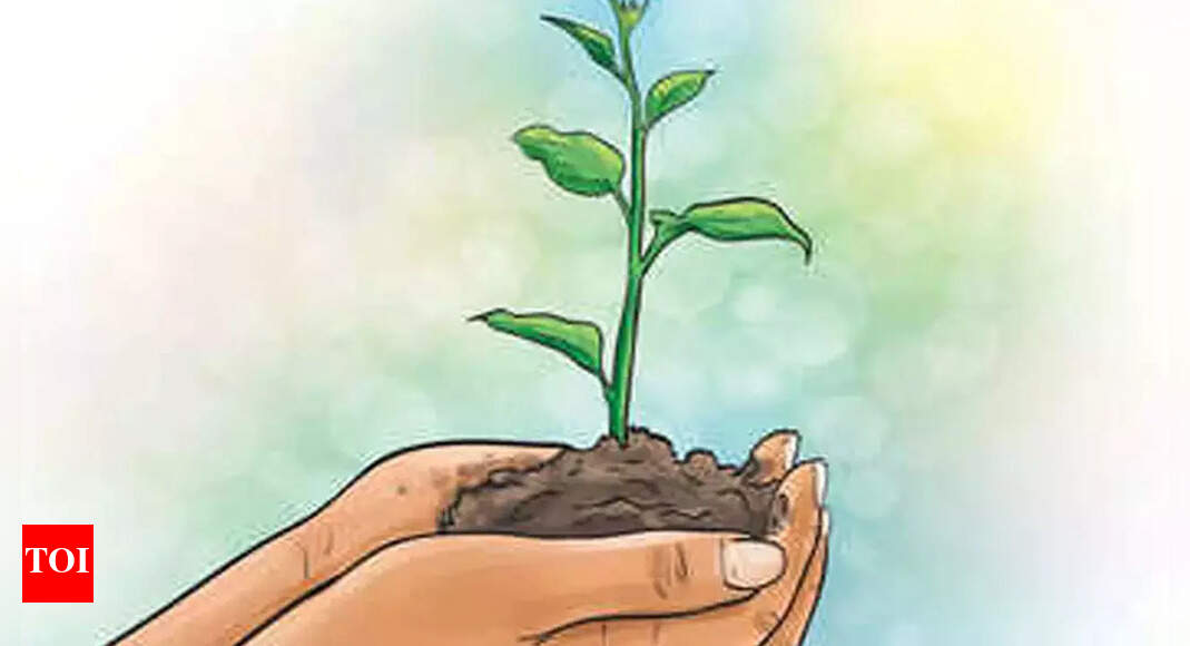 सामाजिक वानिकी विभाग ने नासिक-पुणे राष्ट्रीय राजमार्ग के किनारे वृक्षारोपण की योजना बनाई है  नासिक समाचार – टाइम्स ऑफ इंडिया