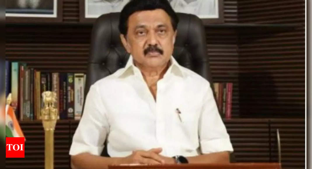 तमिलनाडु: सीएम एमके स्टालिन ने सरकारी कर्मचारियों, शिक्षकों के लिए नए साल के तोहफे के रूप में 4% डीए बढ़ोतरी की घोषणा की  चेन्नई समाचार – टाइम्स ऑफ इंडिया