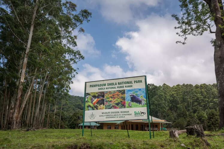 Pampadum Shola National Park, Kerala