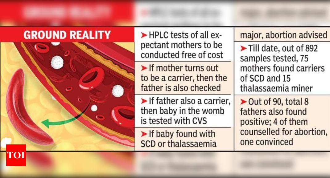 सिकल सेल, थैलेसीमिया को वहीं गर्भ में रोका जा रहा है |  नागपुर समाचार – टाइम्स ऑफ इंडिया