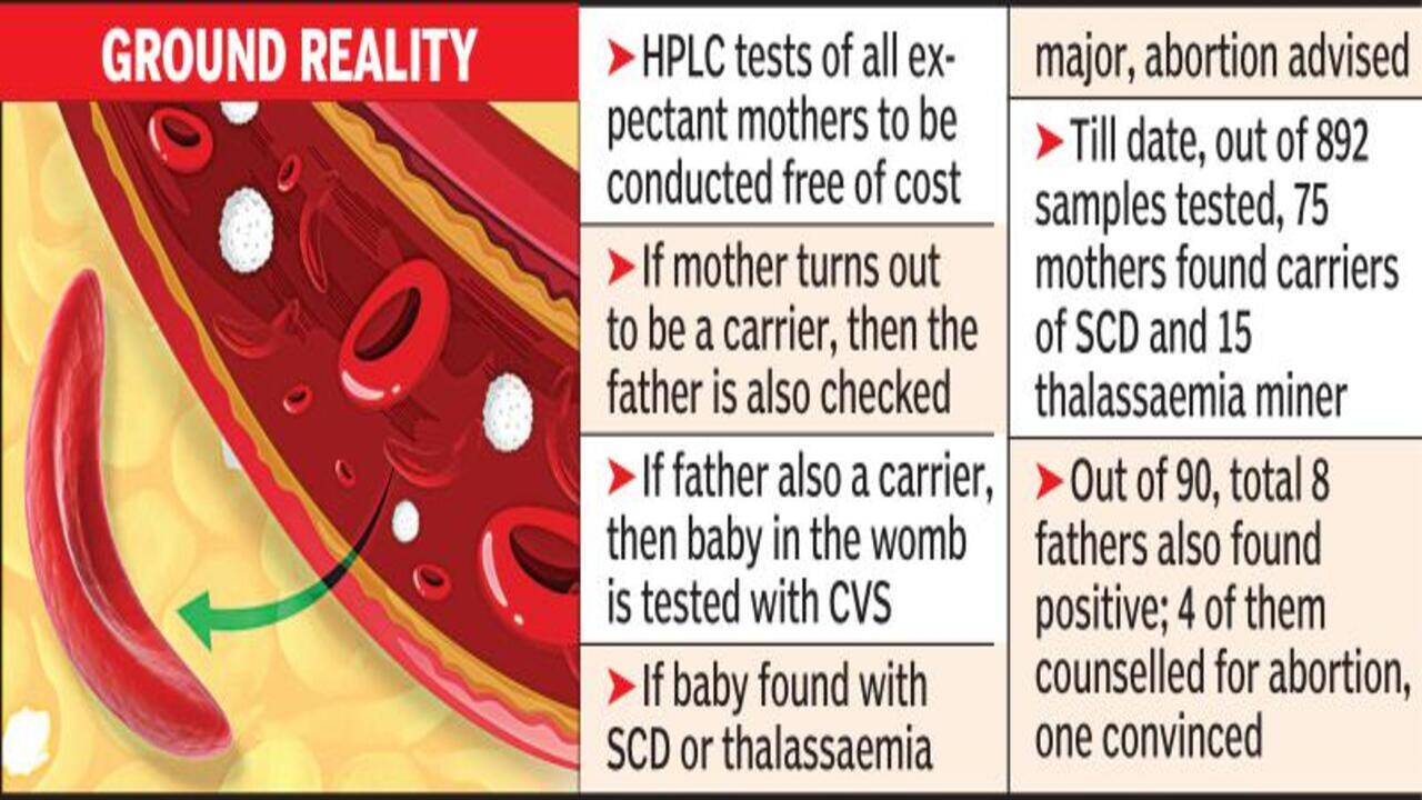 Hplc Test Cost