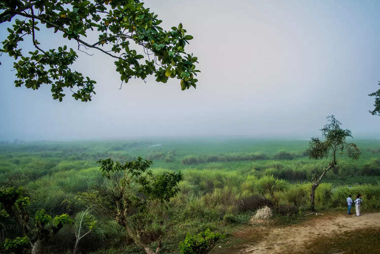 Trekking at Kaziranga