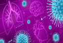 Coronavirus: Autopsy shows how COVID spreads through brain, eye, heart, other organs