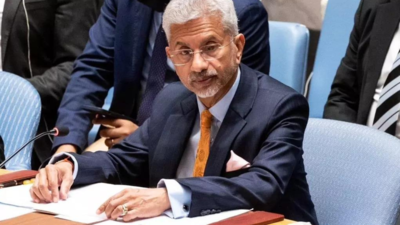 Jaishankar: Effects of cross-border terrorism can't be contained within ...