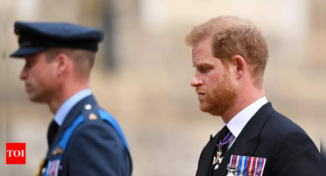 UK’s Prince Harry: I want my father and brother back – Times of India