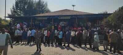 NY rush sees Gorewada zoo earn record single-day revenue of Rs9.70 Lakh