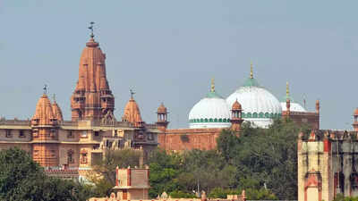 Masjid committee files ‘objection’ to court order on Mathura Idgah survey