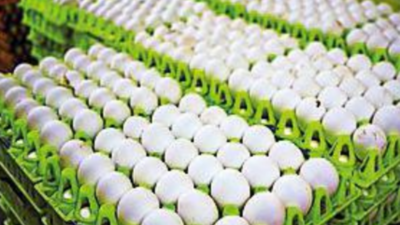 Wholesale price of an egg increases by 5 paise