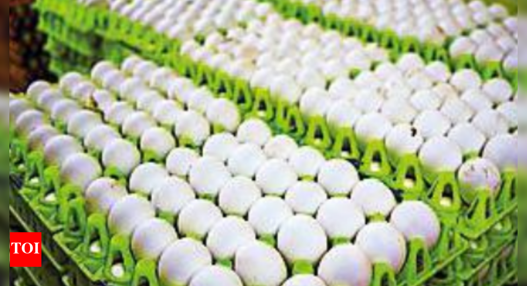 Wholesale price of an egg increases by 5 paise Chennai News Times