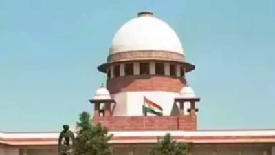 No additional curbs needed for public functionaries: SC on freedom of speech