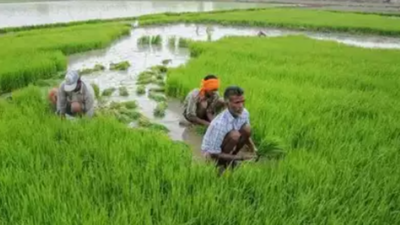 Tamil Nadu govt forms agri schemes publicity committee