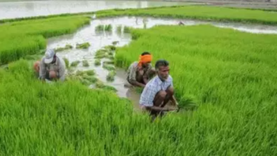 Tamil Nadu Govt Forms Agri Schemes Publicity Committee | Chennai News ...