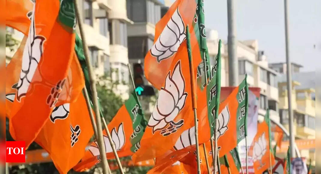 2019 में हारी उत्तर प्रदेश की 14 लोकसभा सीटों पर पांव जमाने के लिए बीजेपी ने ‘विस्तारक’ तैनात किए |  लखनऊ समाचार – टाइम्स ऑफ इंडिया