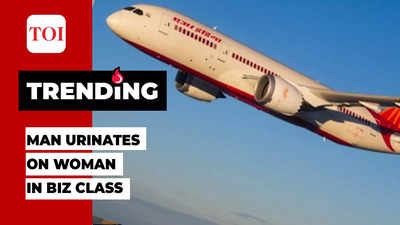 Disgusting! Man urinates on woman passenger onboard New York-Delhi Air India flight, DGCA seeks report