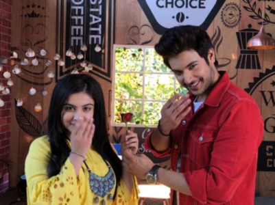 Shivin remembers his late co-star Tunisha on her b'day