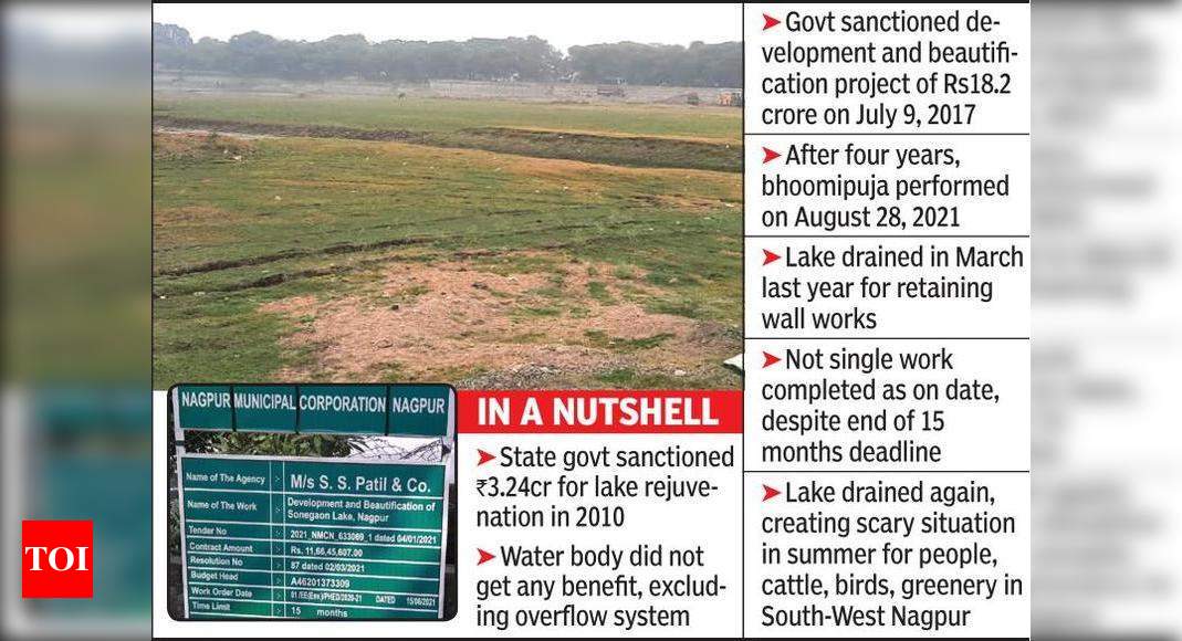एनएमसी द्वारा दूसरी बार पानी निकालने के कारण सोनेगांव झील सर्दियों में सूख जाती है |  नागपुर समाचार – टाइम्स ऑफ इंडिया