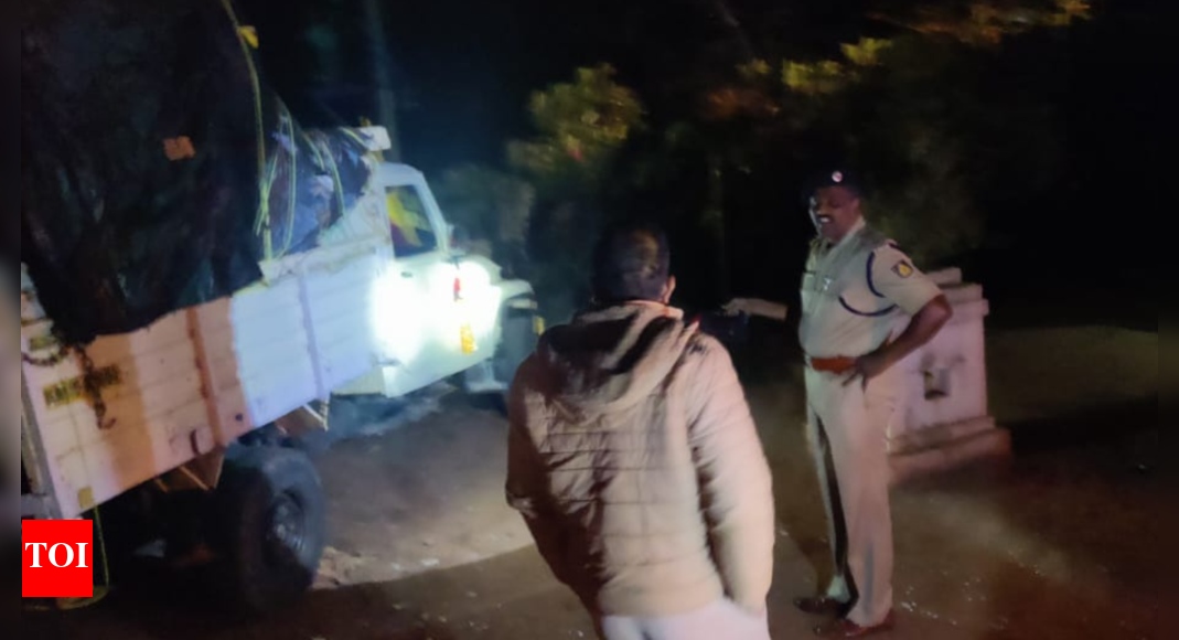 6 pilgrims killed in road accident in Karnataka's Chinchanur | Hubballi ...