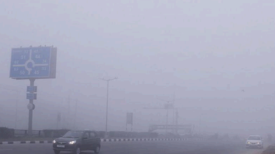 Foggy and freezing: UT not warmer than 11.9°Celsius in Chandigarh