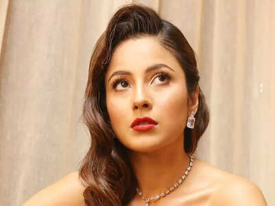 Beauty secrets of 'Moon Rise' girl Shehnaaz Gill