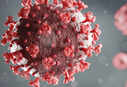 COVID's XBB.1.5 vs. Omicron BF.7: Is one more dangerous than the other? Note the symptoms