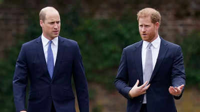 Prince Harry says William knocked him to the floor in dispute: Report