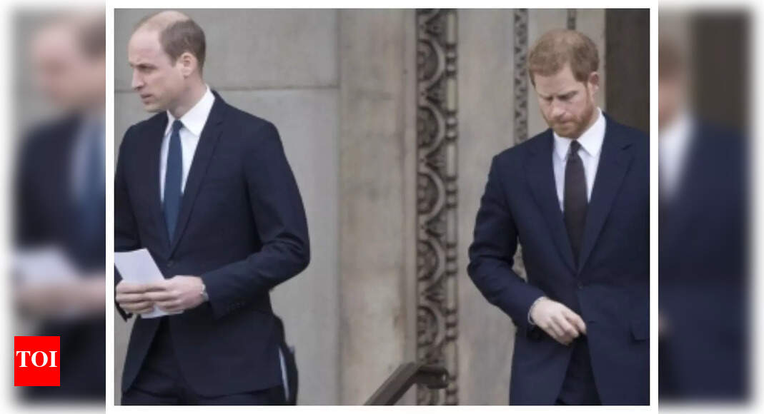 Battle Royale: Harry recounts how William assaulted him, called Meghan ...
