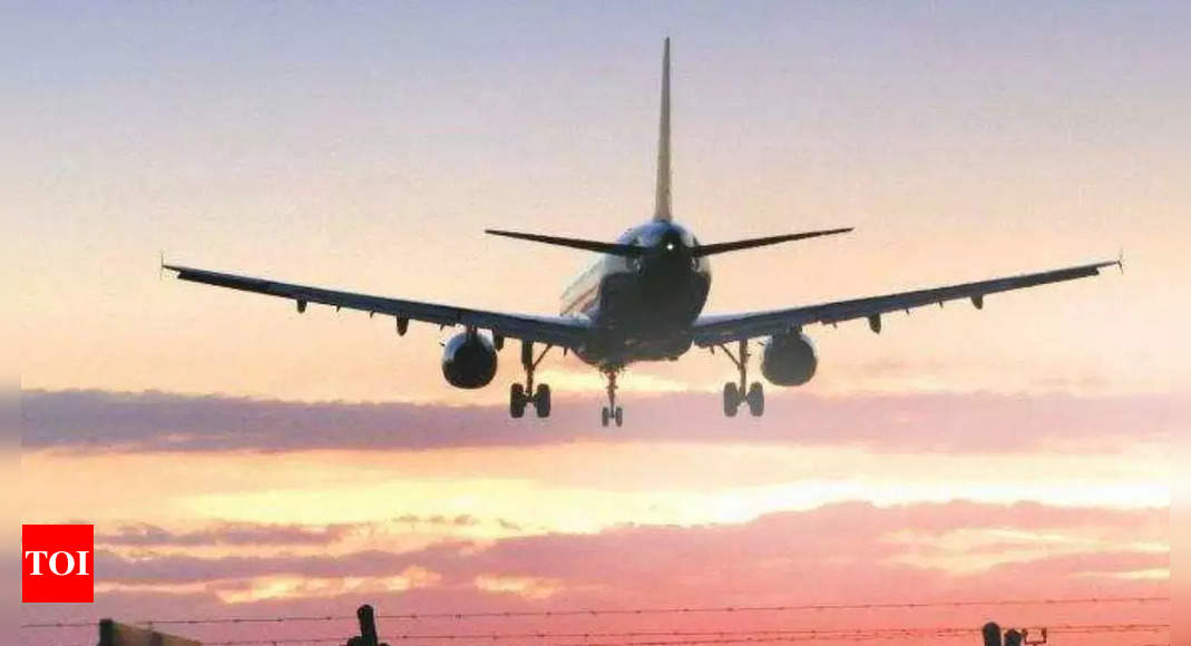 On Dec 6 AI Paris flight, another drunk flyer peed on woman’s seat – Times of India