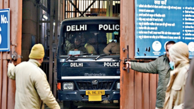 Kanjhawala hit and run case: Driver didn't have licence, another took blame