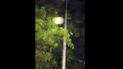 High-mast lamp installed in Adyar waits to be lit