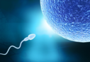 Is COVID a risk to fertility? Know what recent study says