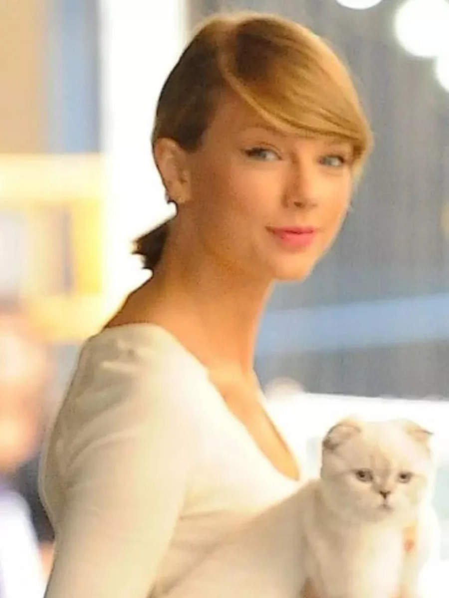 Taylor Swift's cat is worth $97 million: 9 richest pets in the world