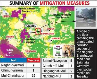 Nod for mitigation delayed; tigress, 3 cubs cross widened road at Saighata