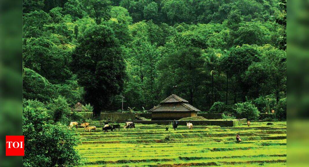 Pvt forests to be brought on govt records with amendment | Goa News ...