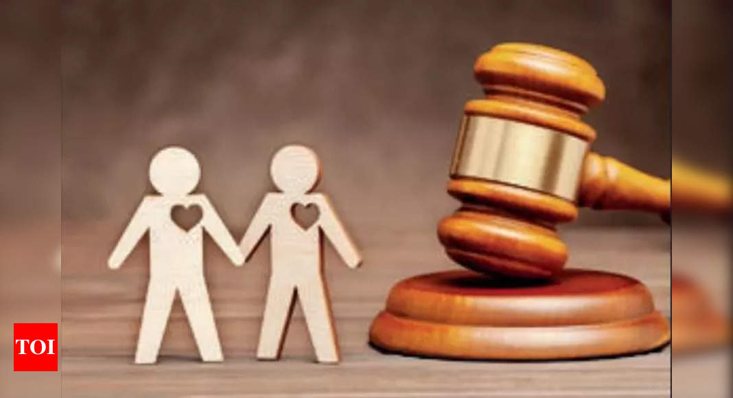 Sc Transfers To Itself All Pleas On Same Sex Marriage Legality India News Times Of India 