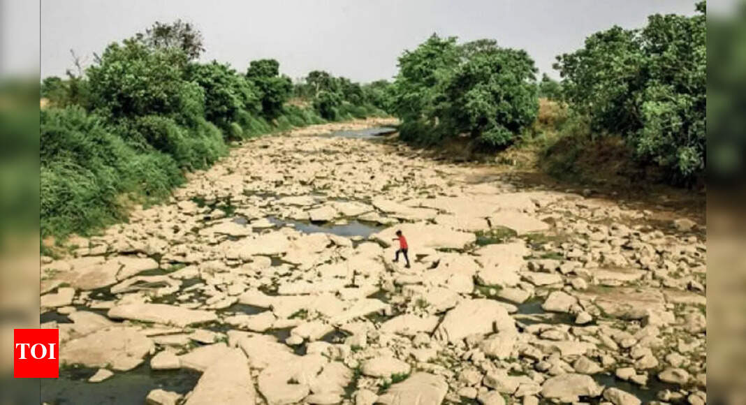extreme-weather-killed-2-227-in-india-in-2022-india-news-times-of-india