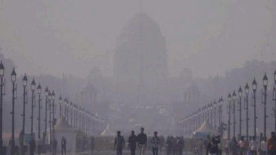 Cold, foggy Delhi forced to down tools yet again