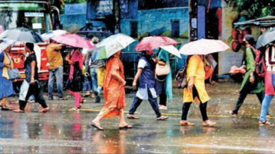 Nights to get cooler by mid-January in Chennai, but showers could end, says IMD