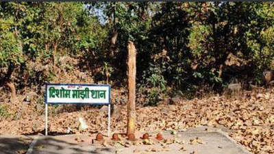 Declare Parasnath as Sarna pilgrim site, tribals tell Jharkhand govt