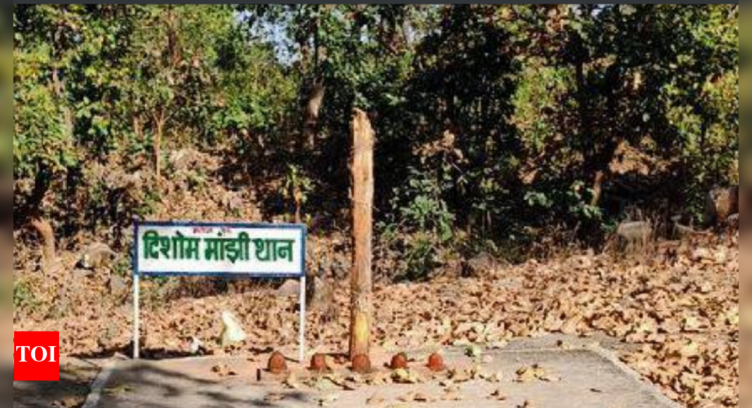 पारसनाथ को सरना तीर्थ स्थल घोषित करें, आदिवासियों ने झारखंड सरकार को बताया |  रांची समाचार – टाइम्स ऑफ इंडिया
