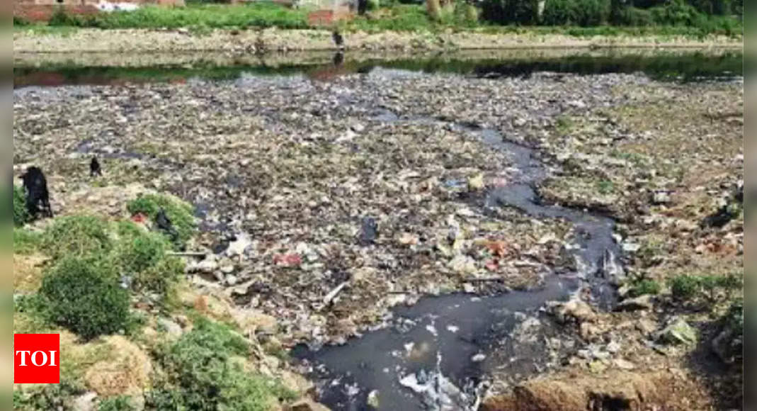 चेन्नई में कचरे के अवैध निर्वहन पर लगाम लगाने वाला कानून |  चेन्नई समाचार – टाइम्स ऑफ इंडिया