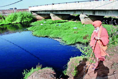 Seechewal is new head of Buddha Nullah task force
