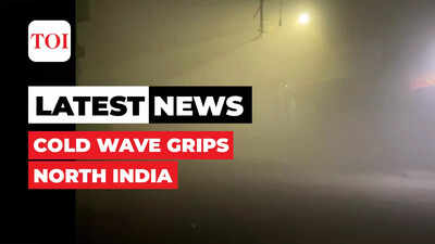 Severe cold wave continues in Delhi-NCR, north India