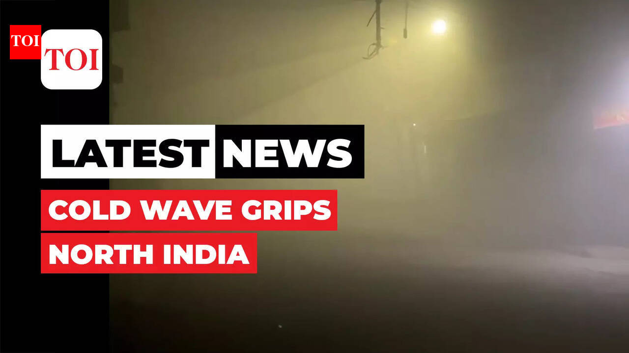 Severe cold wave continues in Delhi-NCR, north India