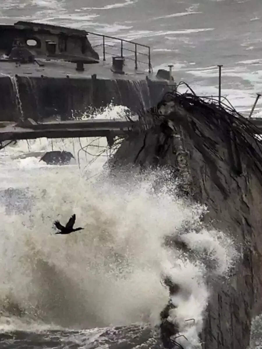 California storm leaves thousands without power | Times of India