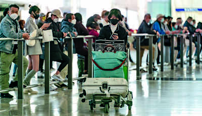 China orders release of Covid detainees ahead of scrapping travel restrictions