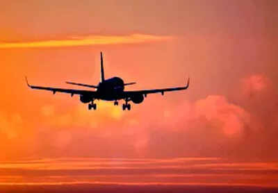 ‘Sit with me’: 2 foreigners offloaded from Goa flight after harassing crew