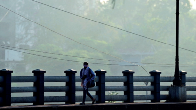 Cold wave likely in Vidarbha today; no such forecast for Madhya Maharashtra