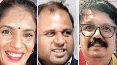 Kannadiga NRIs flock to Haveri for fete